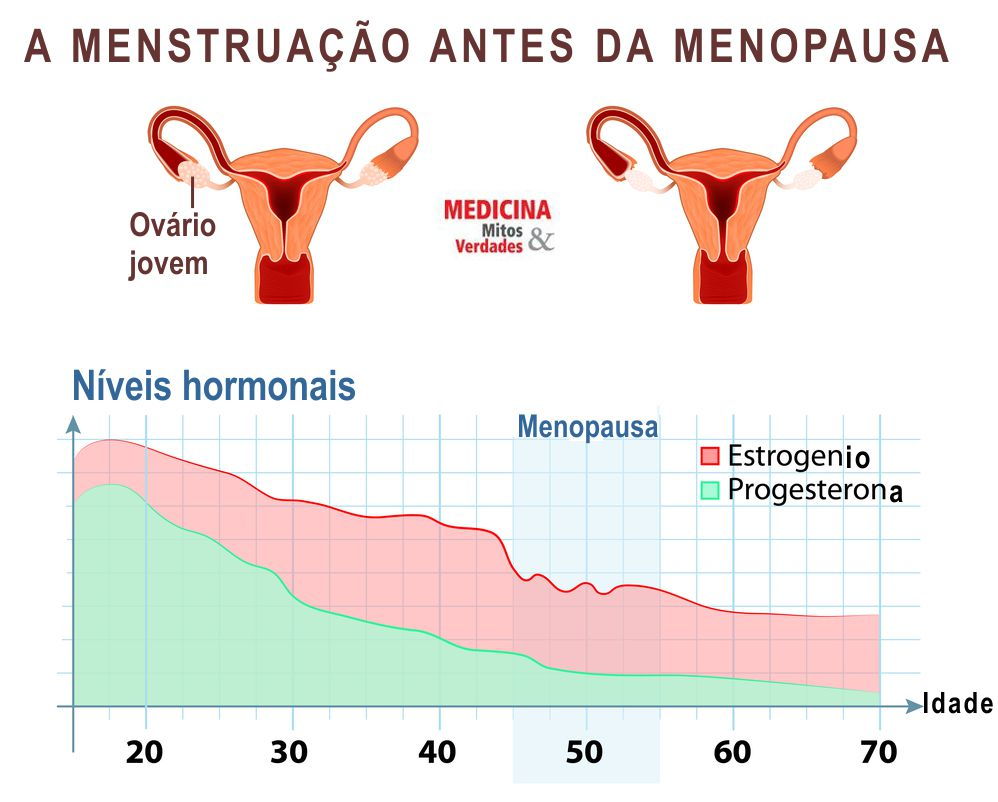 Menstruação na pré-menopausa