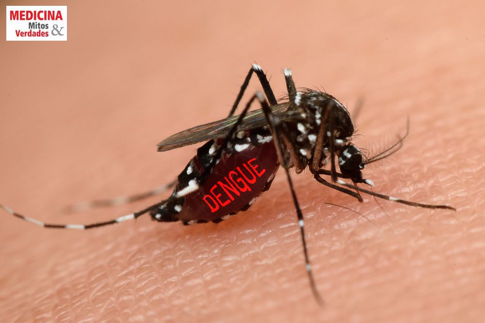 Dengue pode ser confundida com gripe