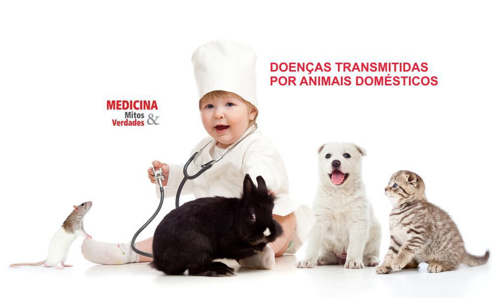Doenças transmitidas por animais domésticos